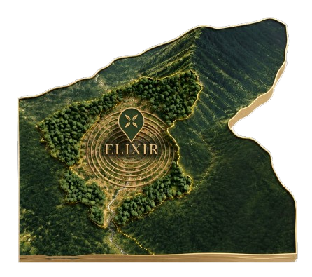 Elixir Map